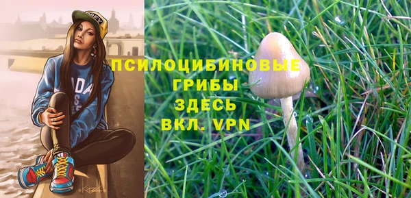 соль курить ск Касимов